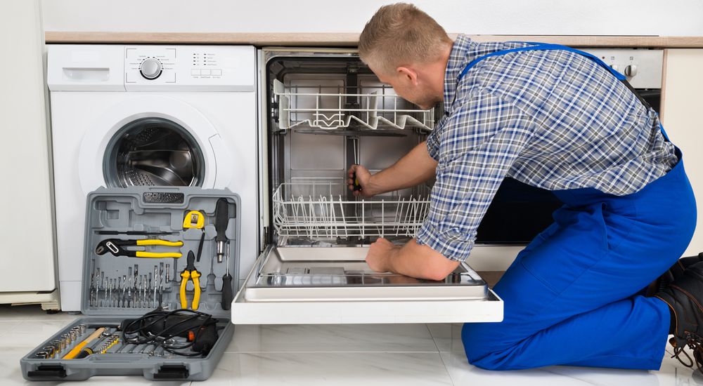 AEG Geschirrspüler Reparatur